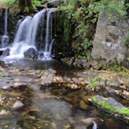 Bright Cosy In Salamanca Bejar